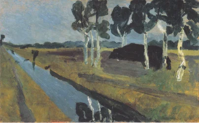 Grijs landschap met veenkanaal
